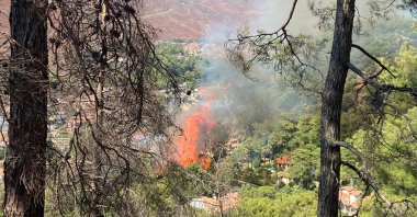 Flames engulf trees in Marmaris, in Muğla, southwestern Turkey, July 29, 2022. (İHA PHOTO)