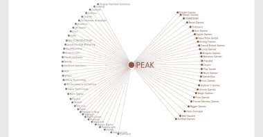 Eighty people whose paths crossed with Peak have set up 65 different startups. (Courtesy of startups.watch)