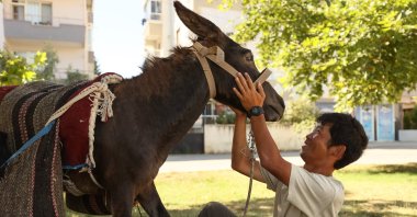 Japanese tourist Kotaro Takada with his donkey Sorotsube in Izmir, western Turkey, June 29, 2022. (AA Photo)