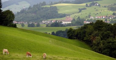 A sweeping view of hills and mountains at the top of the Huberfelsen above the Black Forest in Oberprechtal, Germany. (dpa Photo)