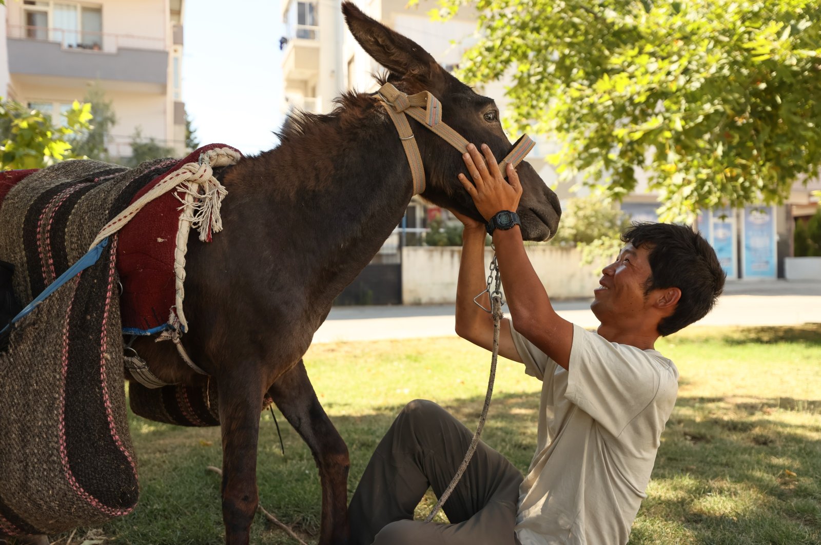 ‘Perjalanan lambat’: Turis Jepang melakukan perjalanan melintasi Turki dengan keledai