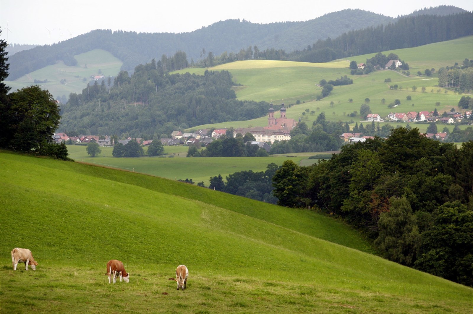 A sweeping view of hills and mountains at the top of the Huberfelsen above the Black Forest in Oberprechtal, Germany. (dpa Photo)