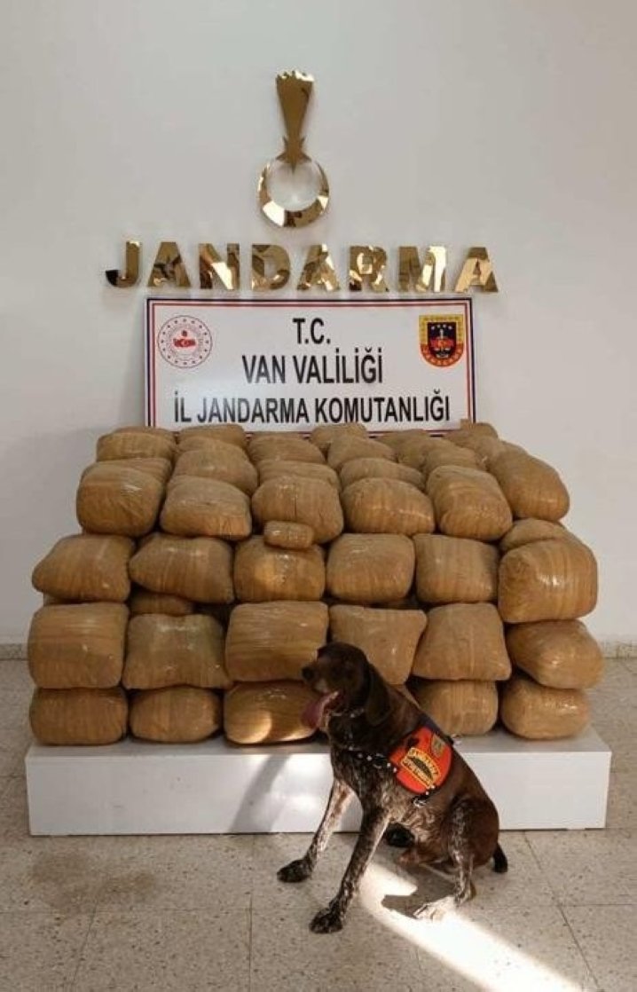 A sniffer dog stands in front of the seized drugs, Van, eastern Turkey, Aug. 1, 2022. (DHA Photo)
