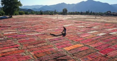 A worker attends to the carpets and rugs laid in the field, in Antalya, southern Turkey, July 31, 2022. (AA Photo)