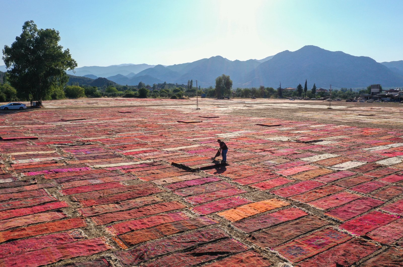 A worker attends to the carpets and rugs laid in the field, in Antalya, southern Turkey, July 31, 2022. (AA Photo)