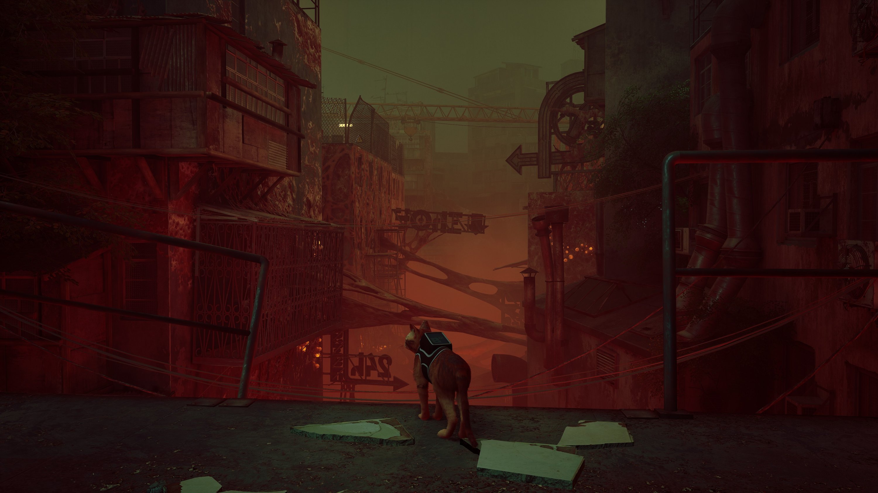 Sebagian besar dunia bawah tanah tempat kucing jatuh penuh dengan virus, dalam tangkapan layar dari video game Stray.