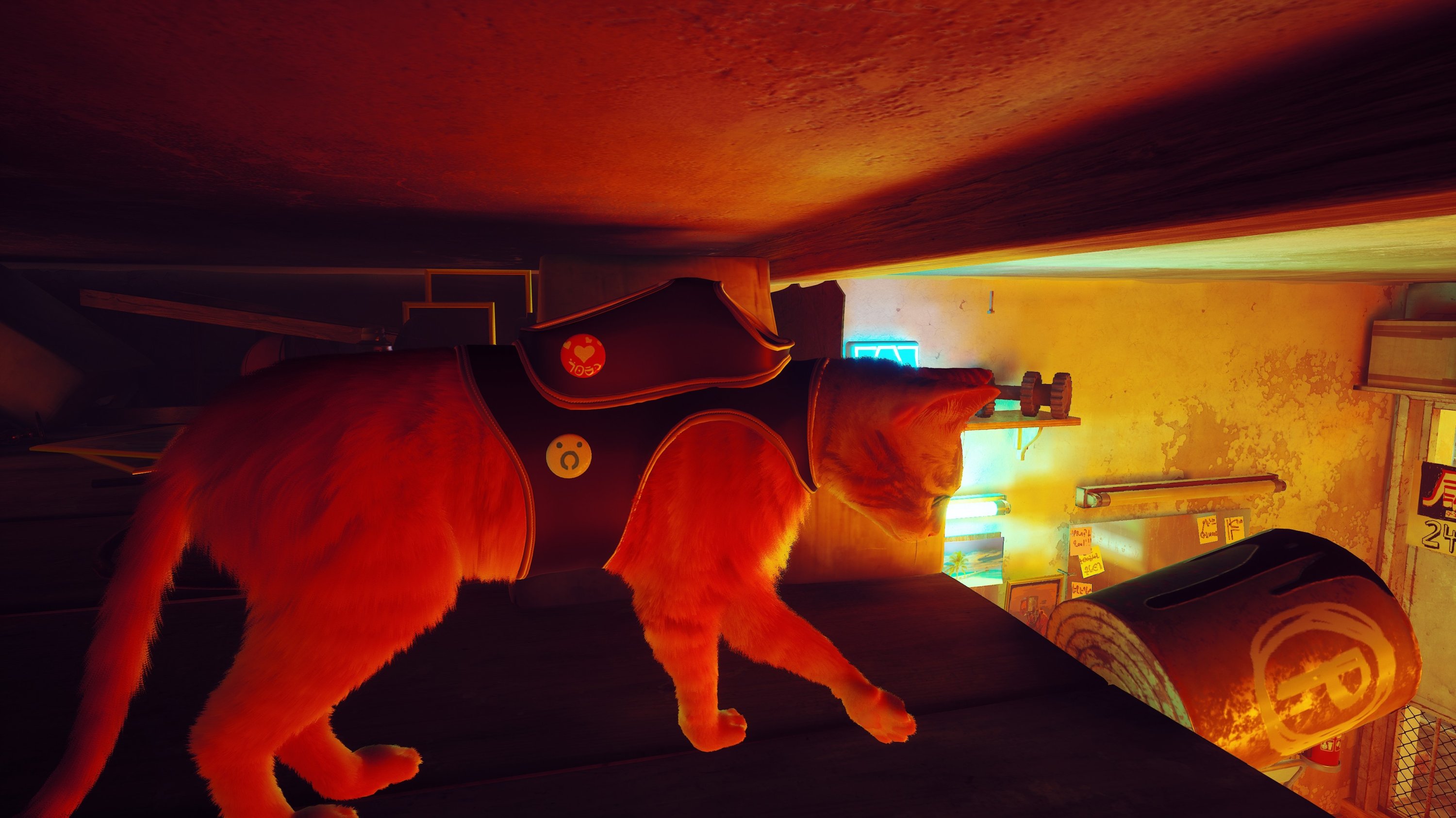 Stray is a game whose hero is a cat in the world of robots