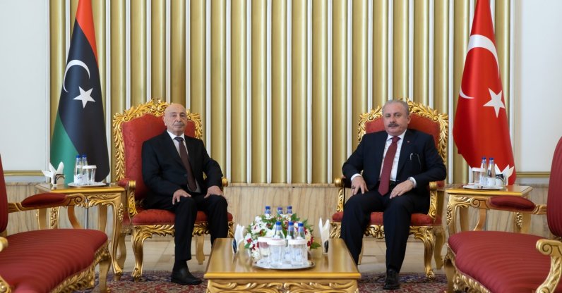 Parliament Speaker Mustafa Şentop (L) with his Libyan counterpart Aguila Saleh in Ankara, Turkey, Aug. 2, 2022. (AA Photo)