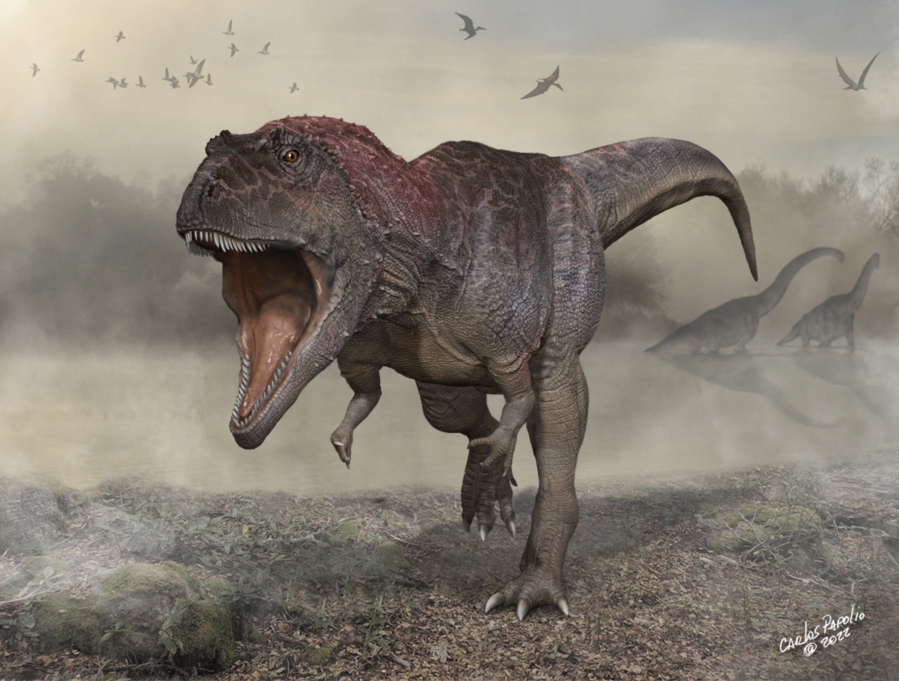 Tyrannosaurus rex might be one species, not three, after all