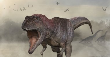This illustration courtesy of the University of Minnesota shows a new dinosaur Meraxes gigas, U.S., Dec. 13, 2021. (AFP Photo)