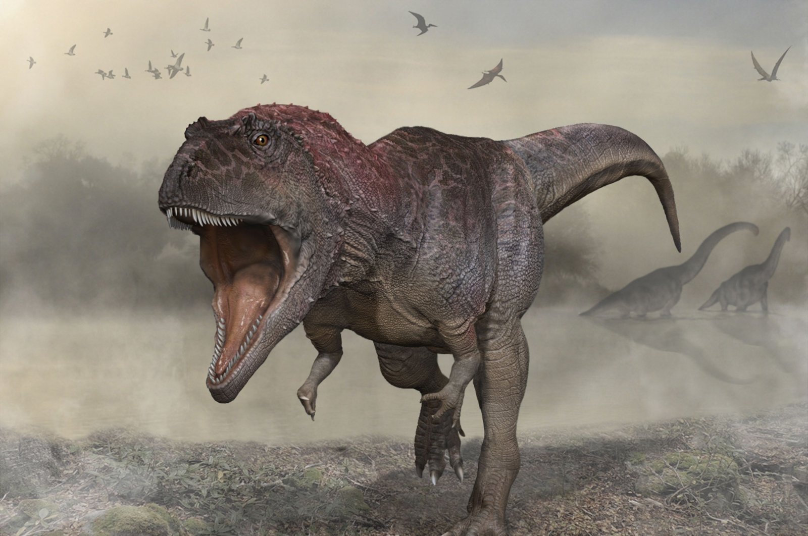 Para ilmuwan menyanggah teori berani T. rex sebagai 3 spesies