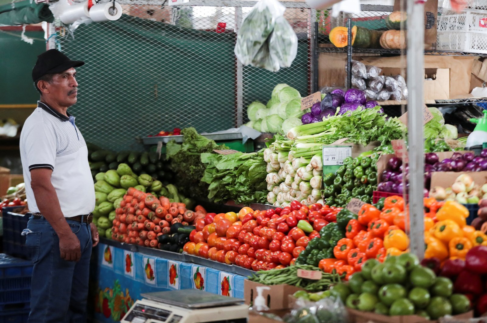 Harga pangan dunia turun lagi di bulan Juli, kata badan PBB
