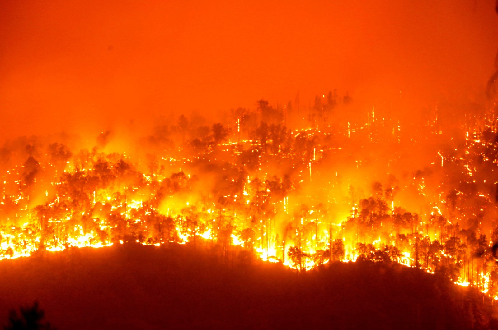 ‘Iblis api’ dipicu oleh udara kering, kebakaran hutan mengamuk di California
