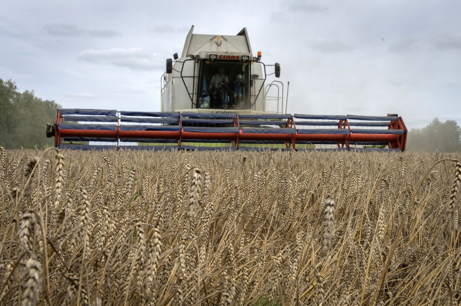 A harvester collects wheat in the village of Zghurivka, Ukraine, Aug. 9, 2022. (AP File Photo)