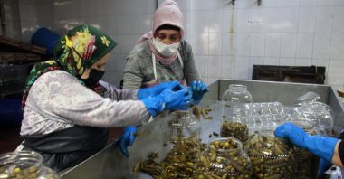 Workers fill pickles into bottles, in Bursa, northwestern Türkiye, Aug. 13, 2022. (DHA Photo)