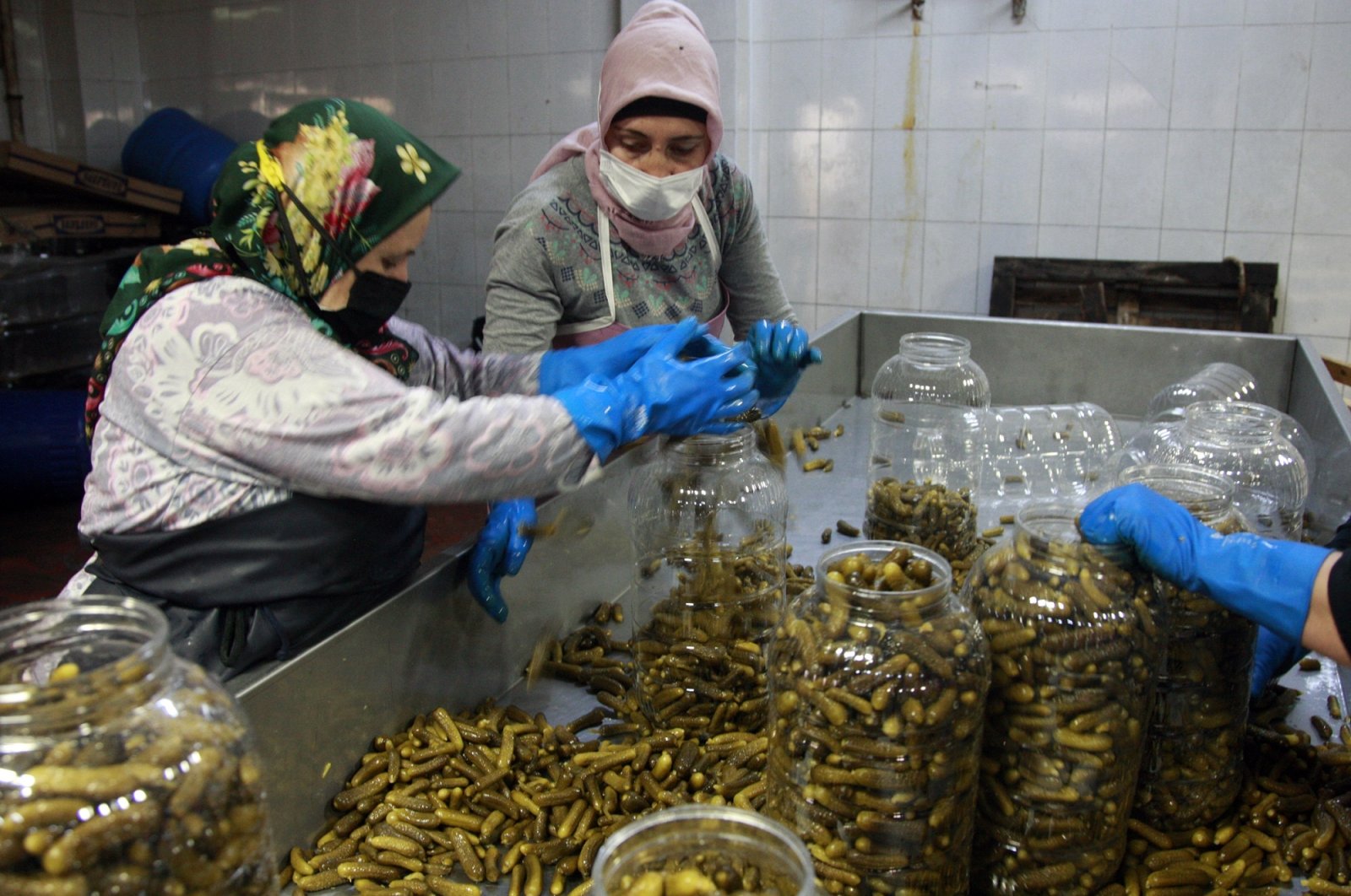 Workers fill pickles into bottles, in Bursa, northwestern Türkiye, Aug. 13, 2022. (DHA Photo)