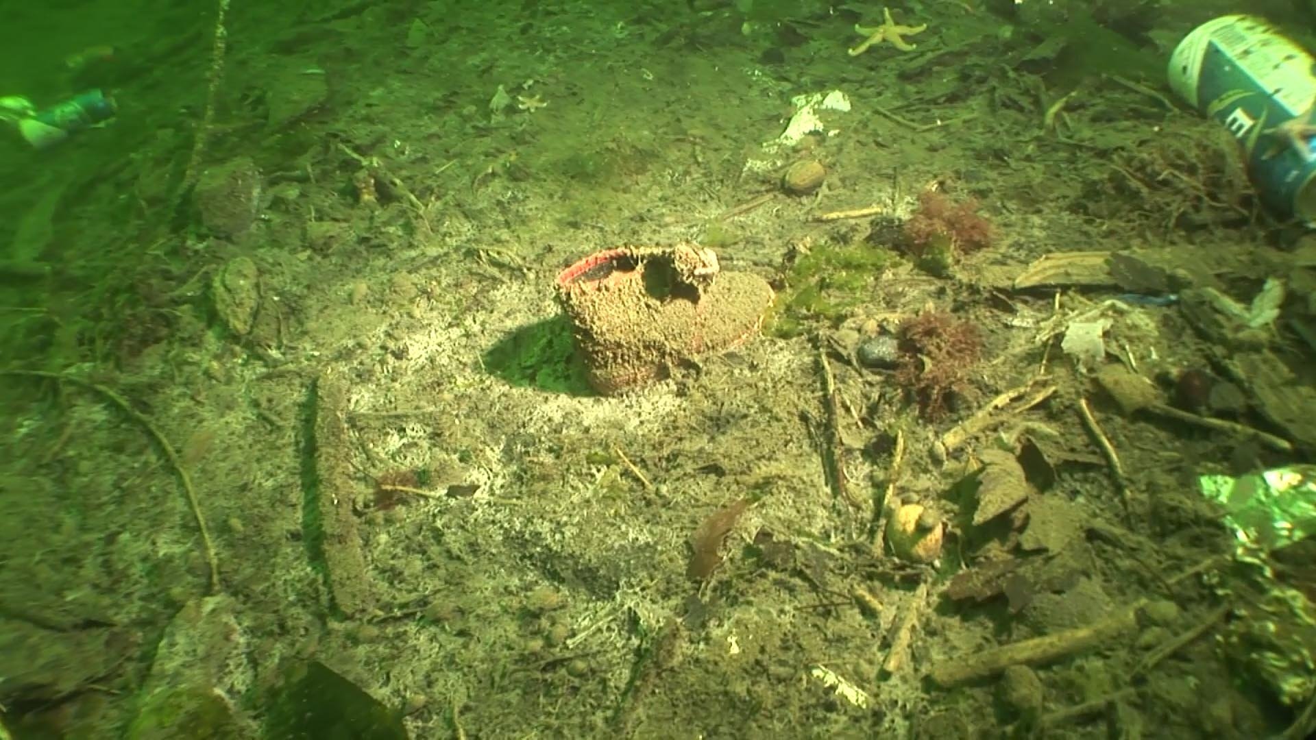 Sebuah sepatu tergeletak di dasar laut, di Gölcük, Kocaeli, barat laut Türkiye, 15 Agustus 2022. (DHA Photo)