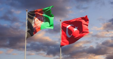 (Shutterstock Photo)