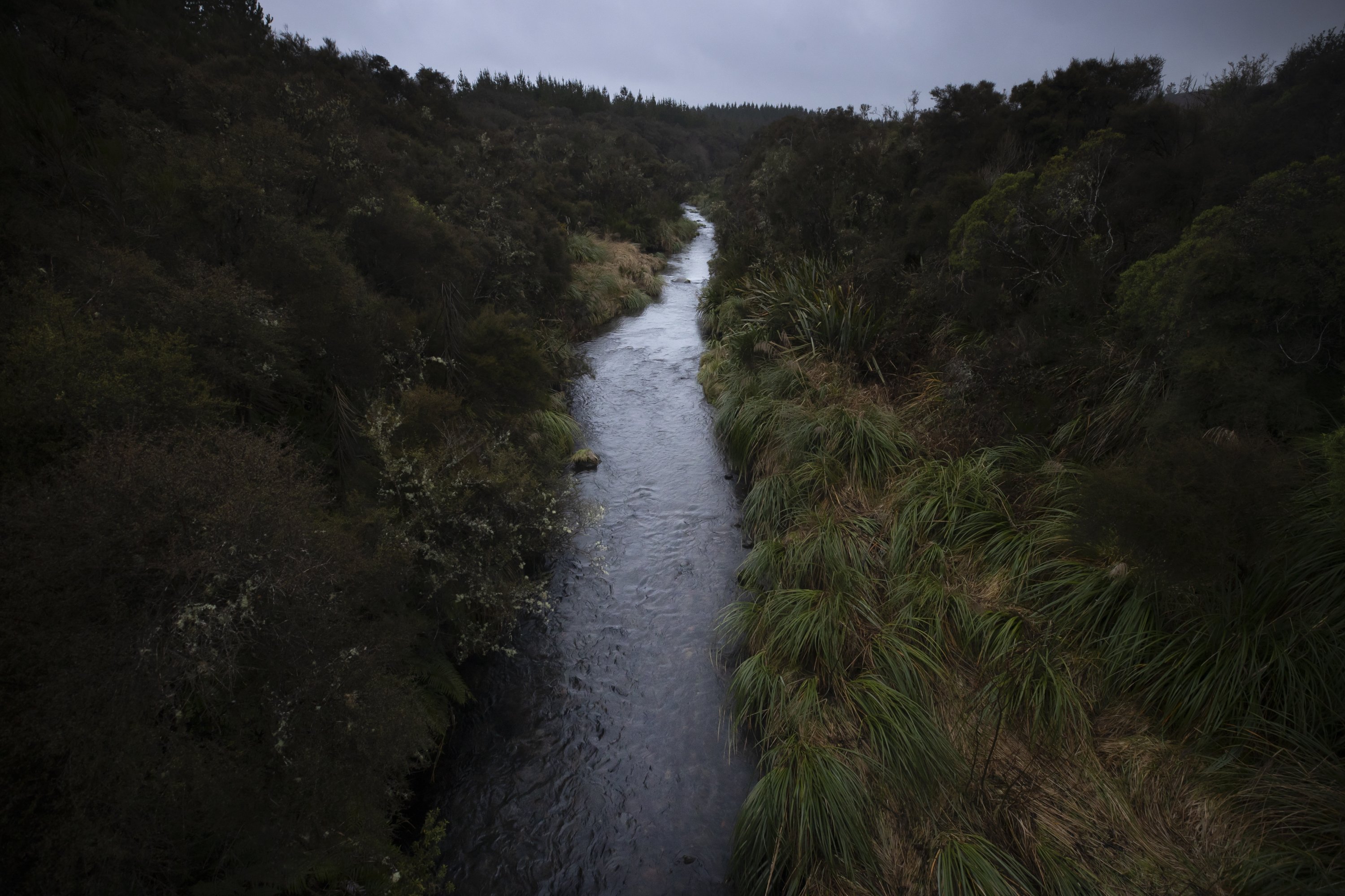 Hulu aliran Sungai Whanganui Selandia Baru, 16 Juni 2022. (AP Photo)