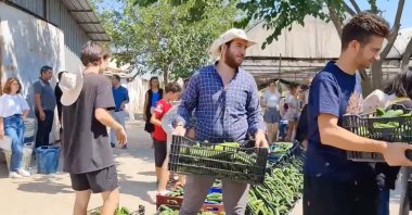Students carry cucumbers they picked in Izmir, western Türkiye, Aug. 16, 2022. (PHOTO BY MINISTRY OF AGRICULTURE AND FORESTRY)