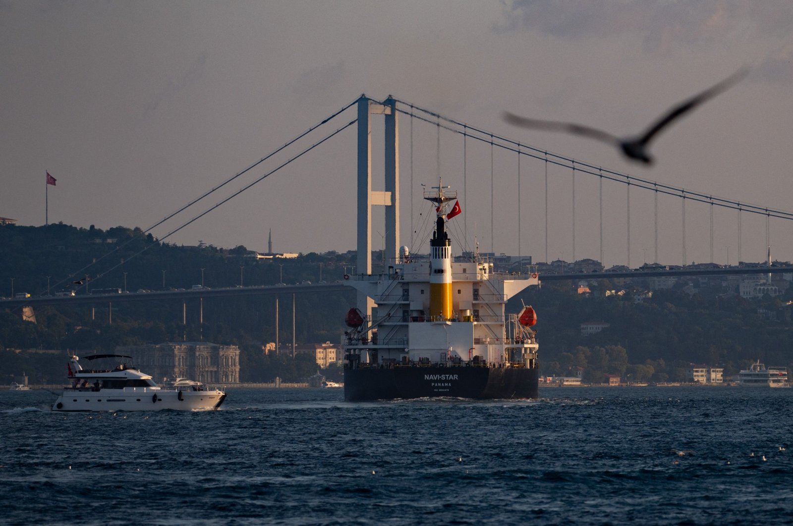 The Panama-flagged bulk carrier Navi Star carrying tons of grain from Ukraine sails along the Bosporus in Istanbul, Türkiye, Aug. 7, 2022. (AFP Photo)