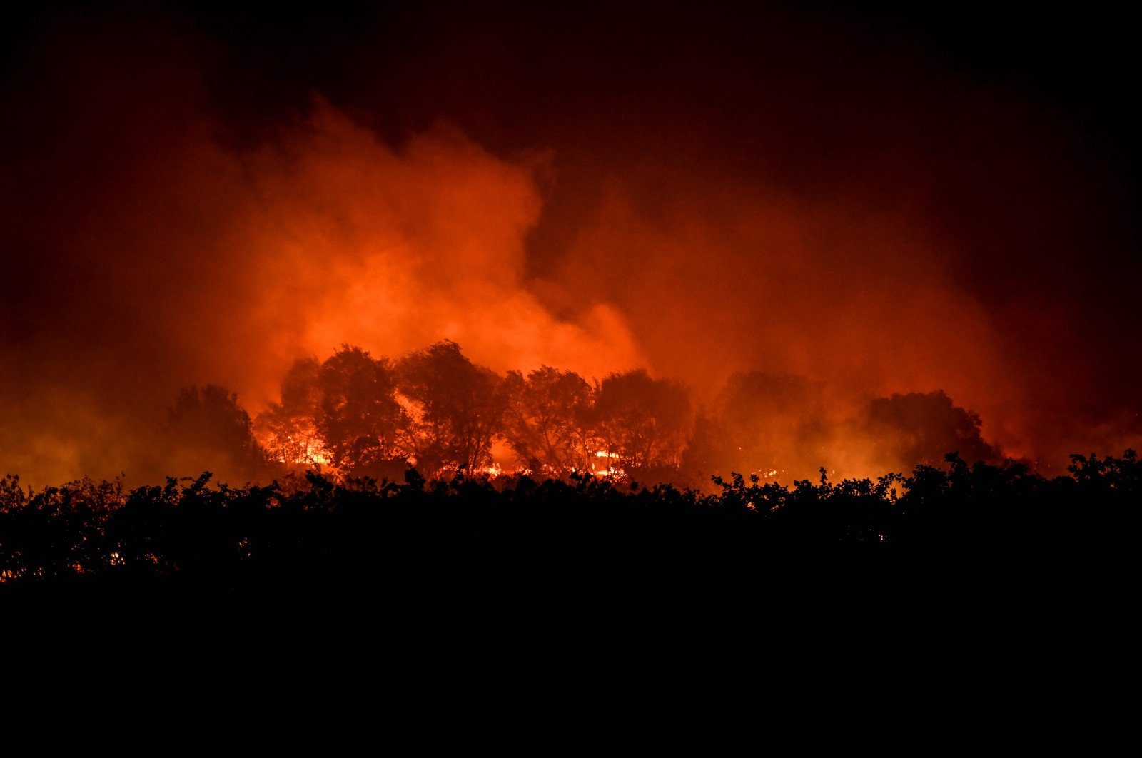 A wildfire advances in Orjais, Covilha, Portugal, Aug. 16, 2022. (AFP Photo)