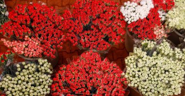 Cut flowers prepared for export, Antalya, southern Türkiye, Jan. 5, 2021. (AA Photo)