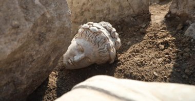 The head of the Apollo statue found in the ancient city of Prusias ad Hypium, Düzce, northwestern Türkiye, Aug. 19, 2022. (AA Photo)