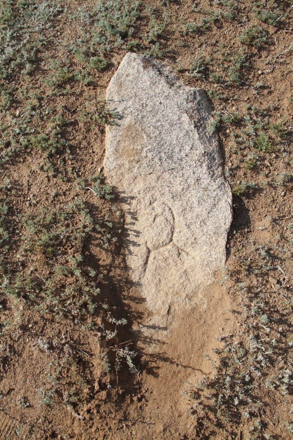 A Kurgan stele at the complex features the symbol of a mountain goat, representing the Turkish Ashina tribe, to which Ilteriş Qaghan belonged, Ötüken, Mongolia, August 24, 2022. (AA) 