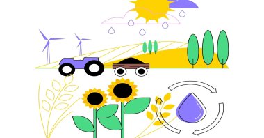 (Shutterstock Photo)