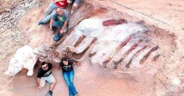 Scientists pose during a phase of the excavation works of a partial skeleton of a sauropod dinosaur at the Monte Agudo fossil site, in Pombal, Portugal in this handout taken in August 2022. (Instituto Dom Luiz (Faculty of Sciences of the University of Lisbon) /Handout via REUTERS)