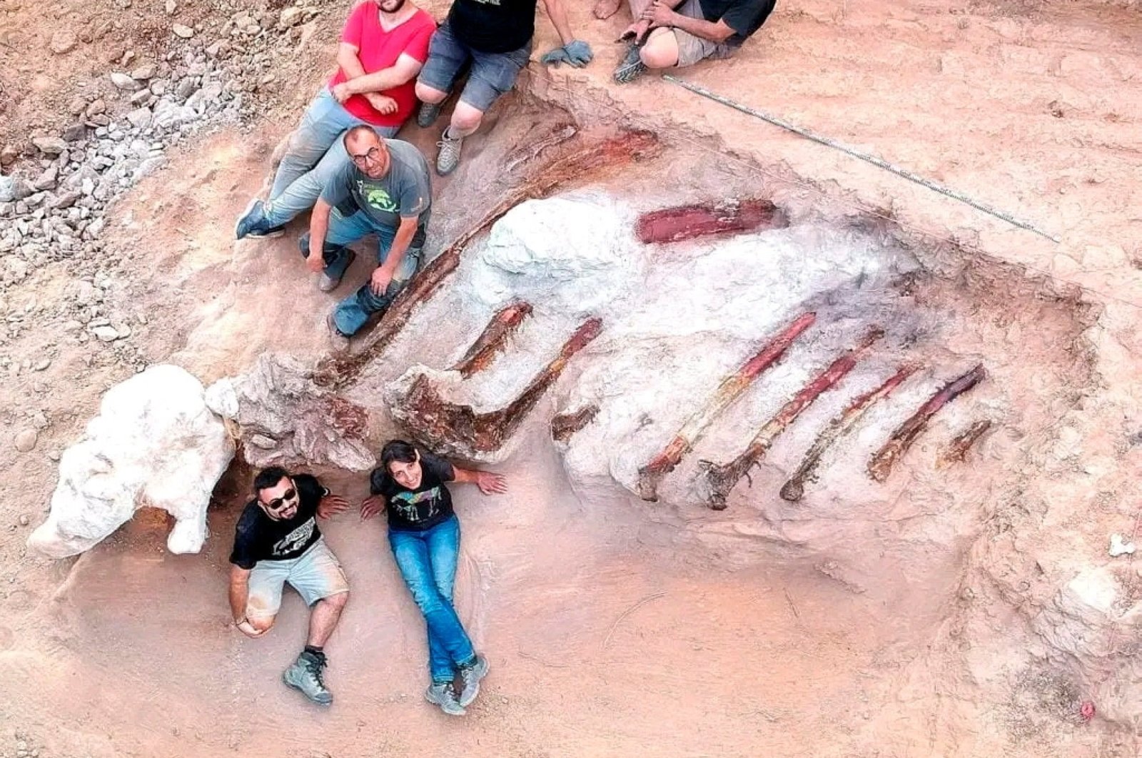 Kerangka dinosaurus 25 meter, terbesar di Eropa, ditemukan di Portugal