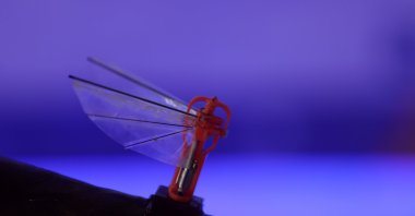 Flapping mechanism of Aselsan's new nano UAV on display at Teknofest in Samsun, northern Türkiye, Sept. 1, 2022. (AA Photo)