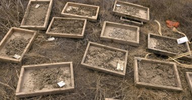 Prehistoric finds are pictured at the site where Israeli archaeologists, paleontologists and conservators uncovered a 2.5-meter-long tusk from an ancient straight-tusked elephant (Palaeoloxodon antiquus), near Kibbutz Revadim in southern Israel, Aug. 31, 2022. (AFP Photo)