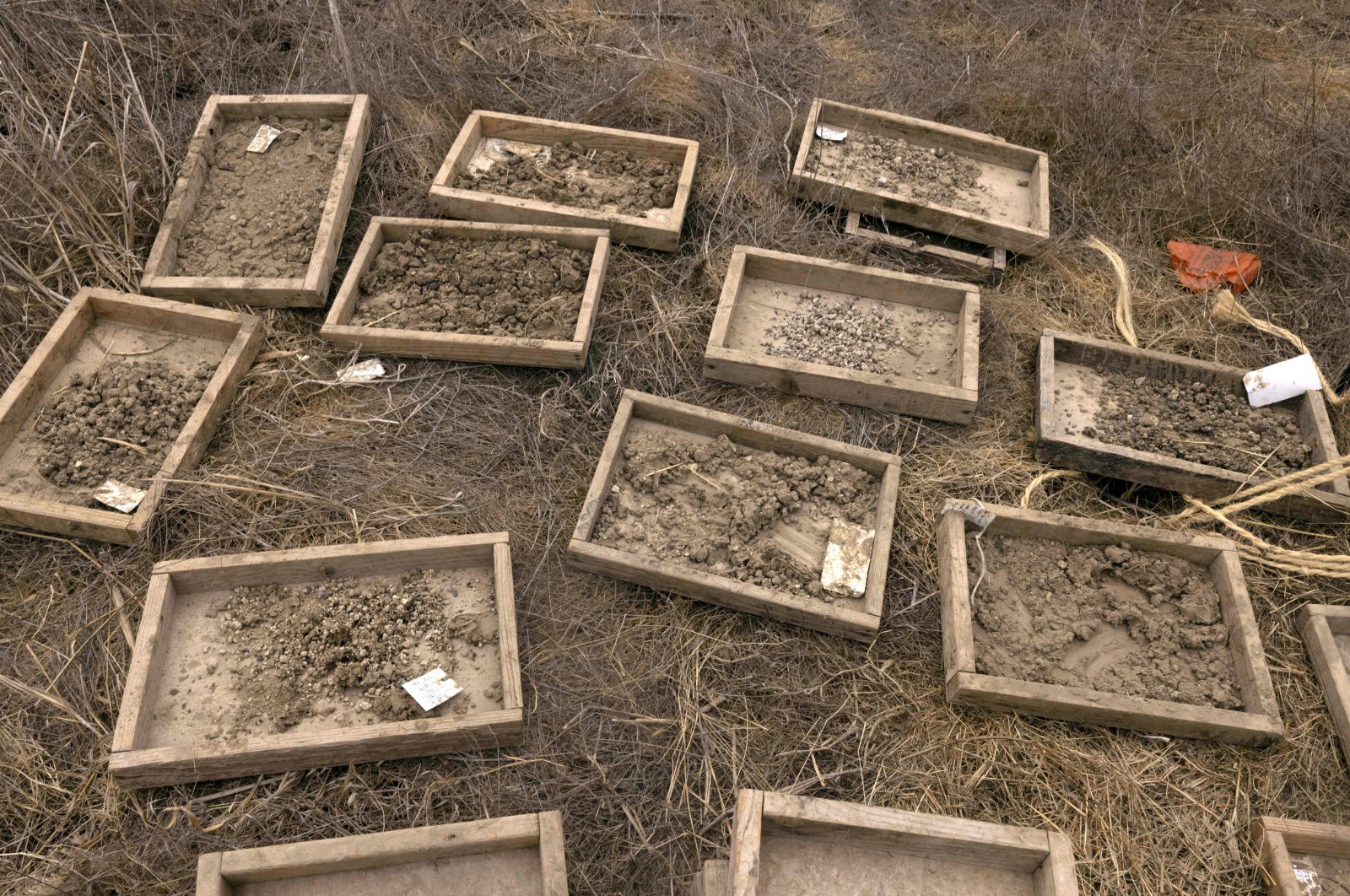 Israel menemukan gading besar gajah purba di dekat kibbutz kuno