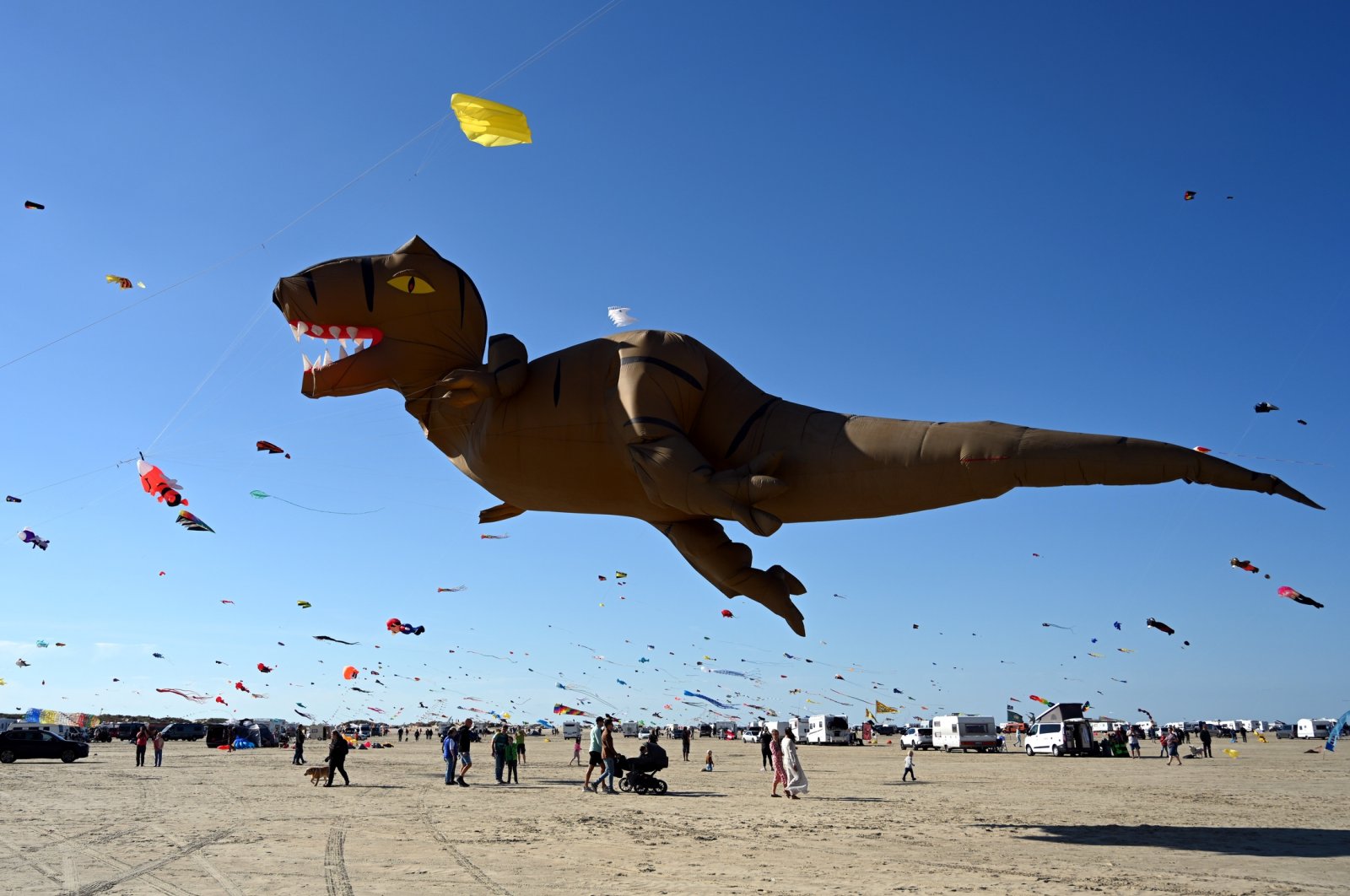 Creative kites dance in wind at Denmark's Romo festival | Daily Sabah
