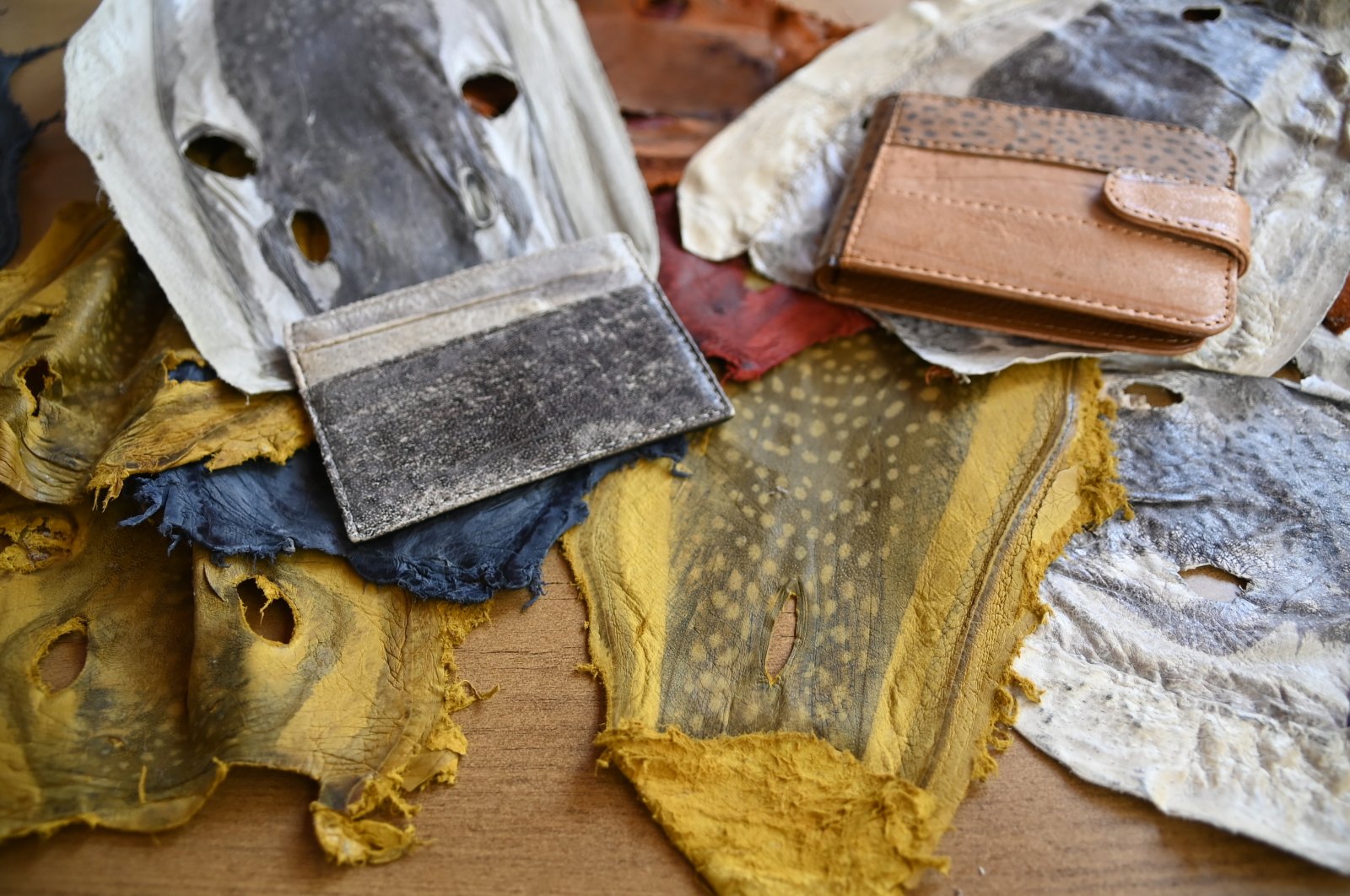 Insinyur Turki membuat dompet kulit ikan dari spesies invasif