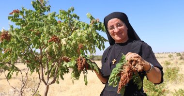Syriac Turkish Nun Hatune Doğan standing in front of a sumac tree at her home in Izbırak, Mardin, southeastern Türkiye, Sept. 7, 2022. (DHA Photo)