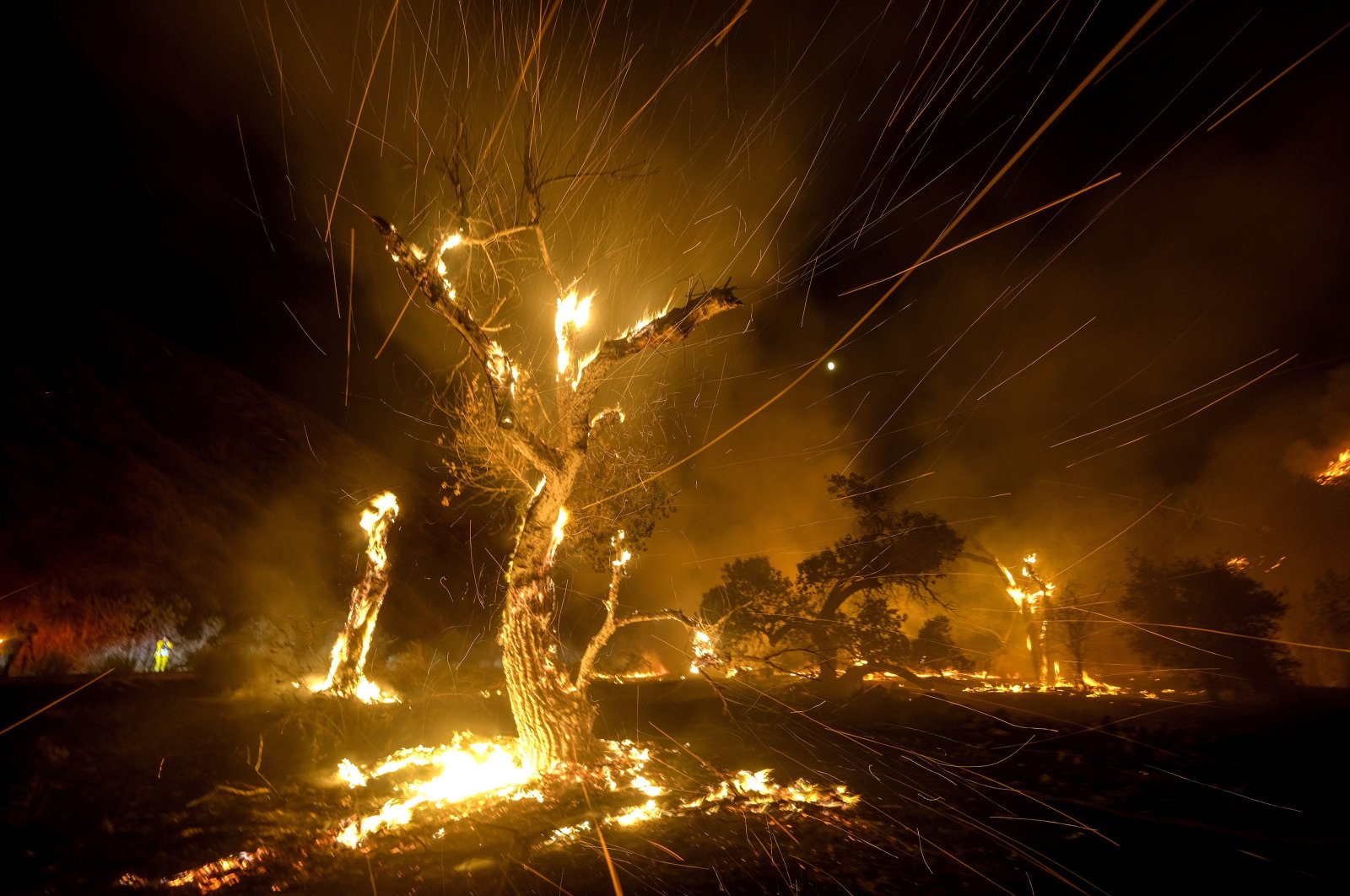Wind whips embers from burning trees during a wildfire, near Hemet, California, U.S., Sept. 6, 2022. (AP Photo)