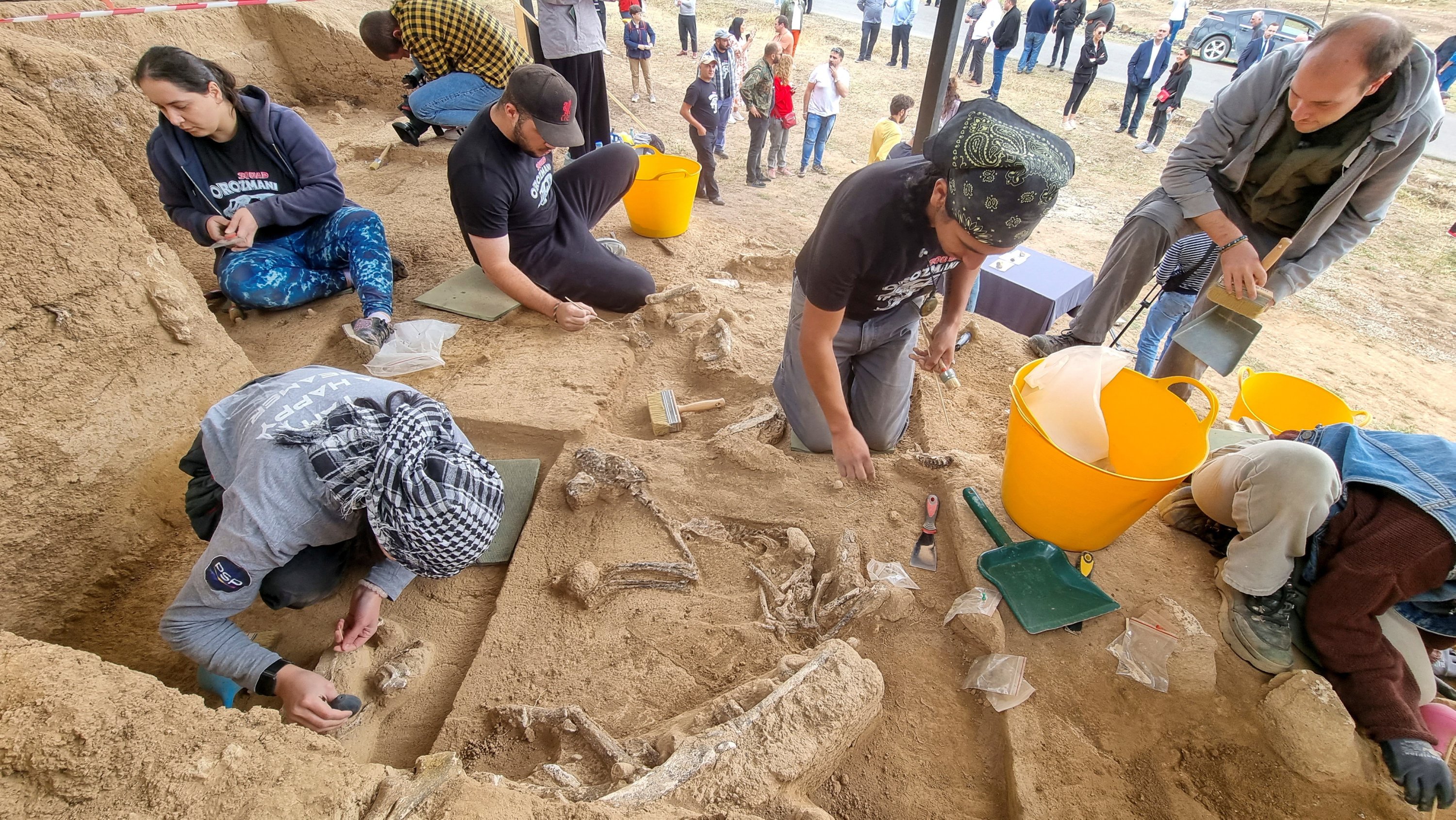 Para arkeolog bekerja di situs penggalian setelah penemuan gigi milik spesies awal manusia, yang ditemukan dari lapisan batuan yang diperkirakan berusia 1,8 juta tahun, di dekat situs penggalian di Dmanisi di luar desa Orozmani, Georgia, 9 September. 8, 2022. (Foto Reuters)