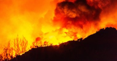 Flames rise from a forest fire near Marmaris, Muğla, Türkiye, July 29, 2021. (Shutterstock Photo)