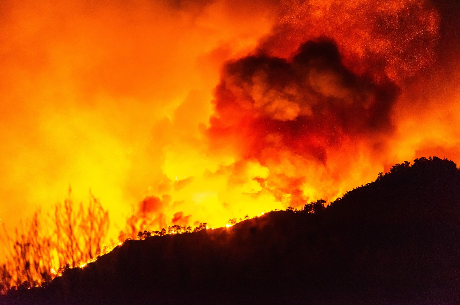 Flames rise from a forest fire near Marmaris, Muğla, Türkiye, July 29, 2021. (Shutterstock Photo)