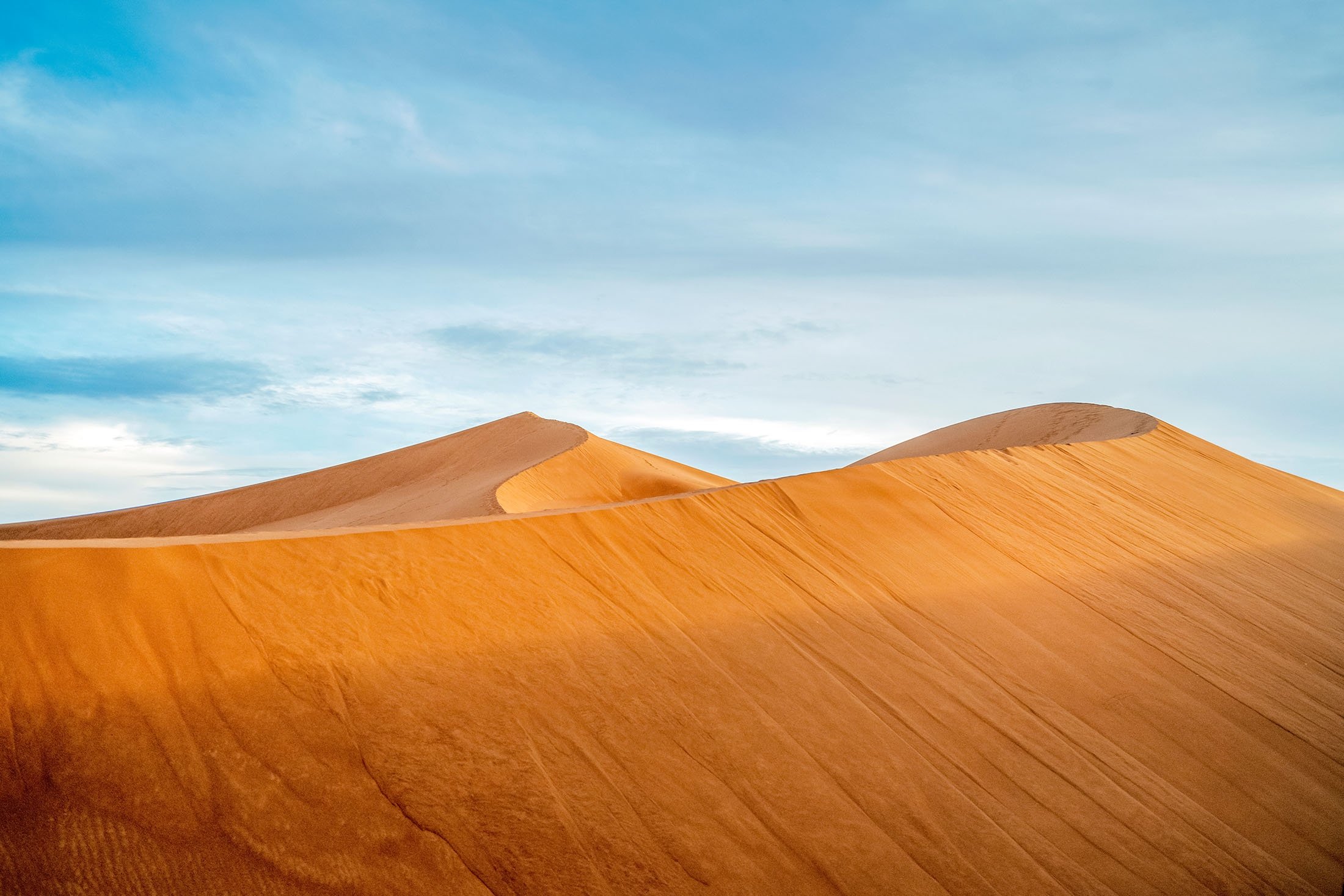 El Gran Sahara es el desierto caliente más grande del mundo.  (Foto Shutterstock)
