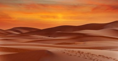 Deserts are some of the most unique phenomenons of nature. (Shutterstock Photo)