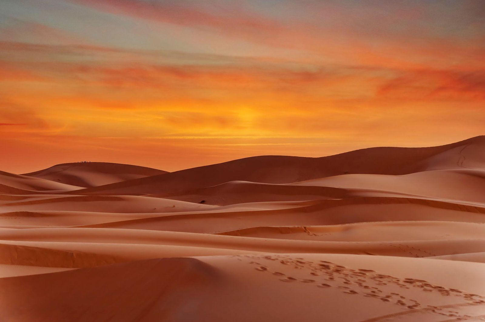 Fatamorgana luar biasa dari panas terik: Gurun pasir terbesar di dunia