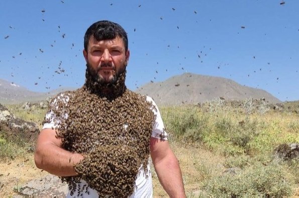 ‘Manusia lebah’ di Türkiye mampu mengumpulkan sarang lebah di tubuhnya