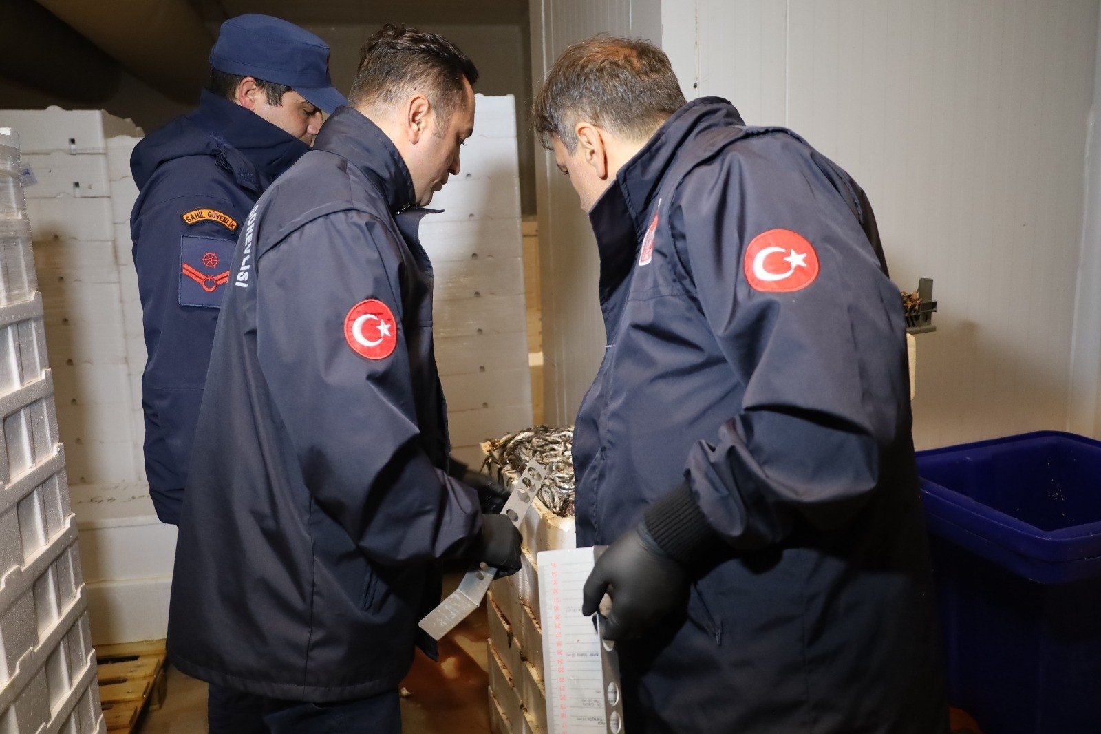 A team made up of Agriculture Directorate and Coast Guard staff inspect a fish market in Istanbul, Türkiye, Spet. 14, 2022. (IHA Photo)