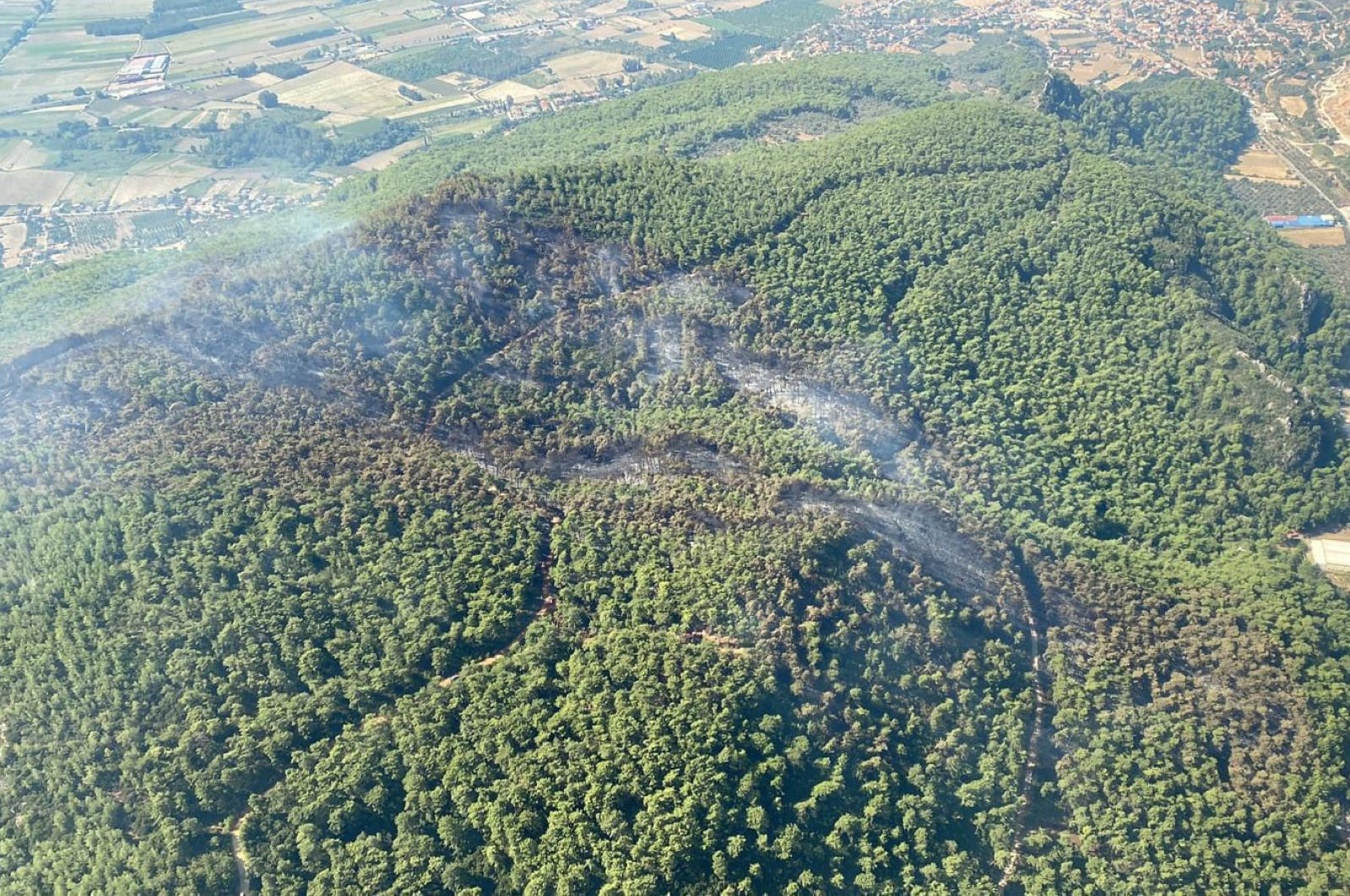 Kebakaran hutan semalam di Muğla dikendalikan