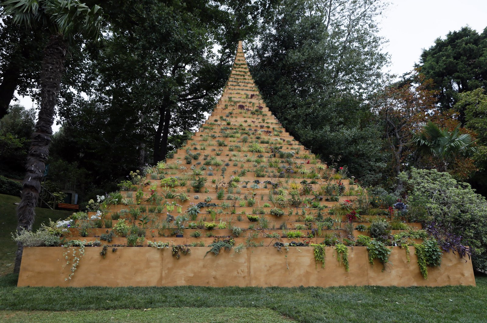 ‘Living Pyramid’ seniman ekofeminis Agnes Denes merevitalisasi flora Istanbul
