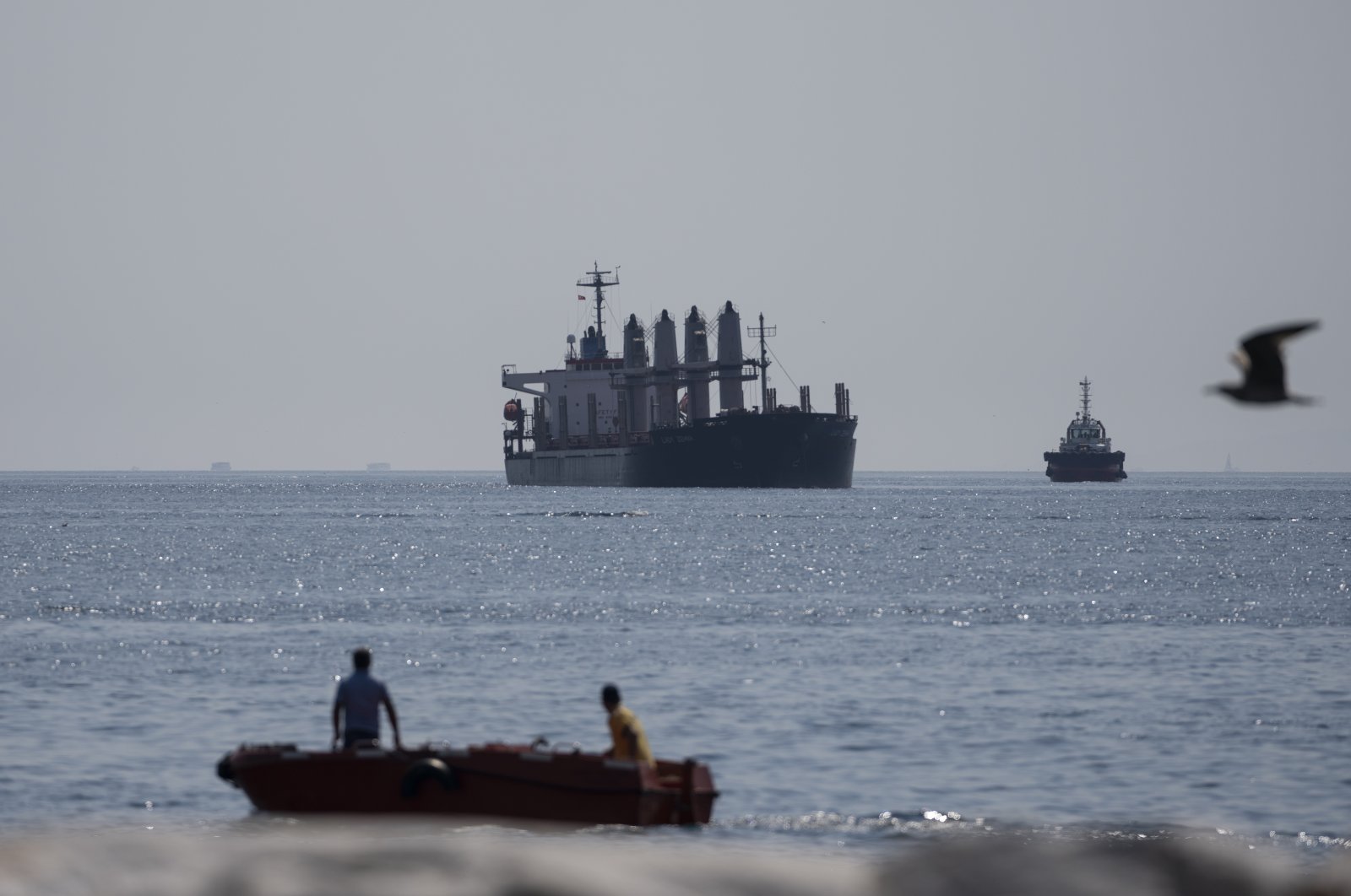 The Panama-flagged cargo ship Lady Zehma, carrying tons of grain from Ukraine, anchors in the Marmara Sea in Istanbul, Turkey, Sept. 2, 2022. (AP Photo)